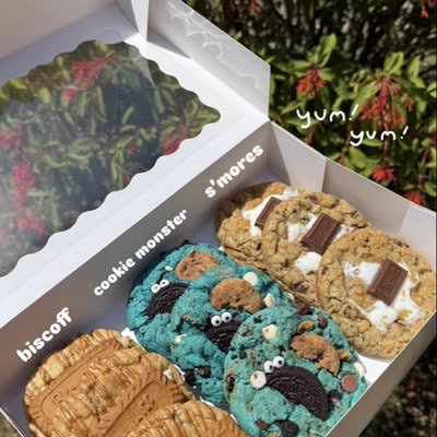 Box of Biscoff, cookie monster and s'mores cookies
